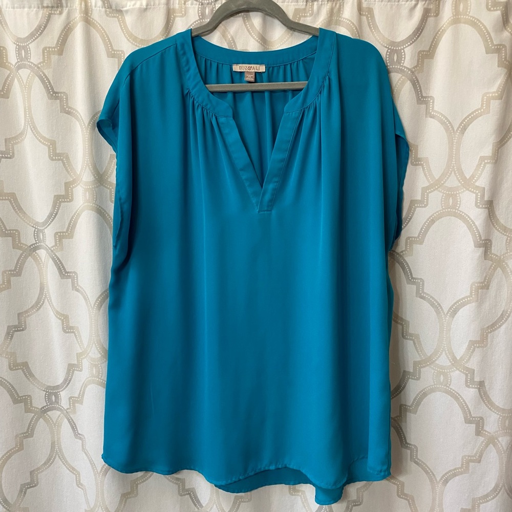 Roz & Ali blouse